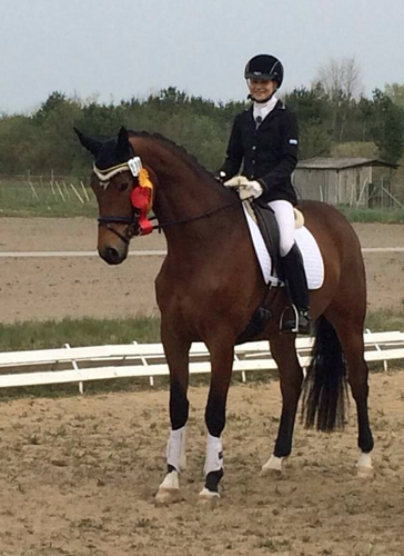 Trakehner Stute GALATEA von Syriano u.d. Pr.St. Gracia Patricia II v. Alter Fritz - Gestt Schplitz - Foto: Bernhard Langels