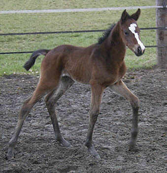 3 days old, Foto: Michaela Bhn