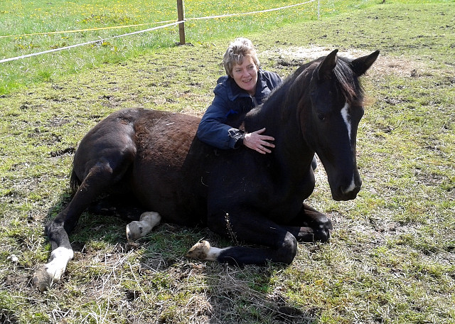 Oldenburger Stutfohlen La Mirabelle von Saint Cyr u.d. Libelle v. Leopold u.d. Odette v. Dornbun, Foto: A.  Bremeyer - Trakehner Gestt Hmelschenburg