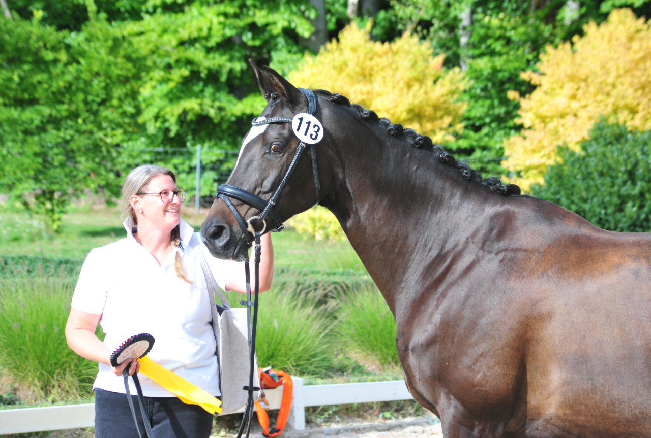 Glorya Gaynor Trakehner Bundesstutenschau Kranichstein 2025 - Foto: Beate Langels - Trakehner Gestt Hmelschenburg