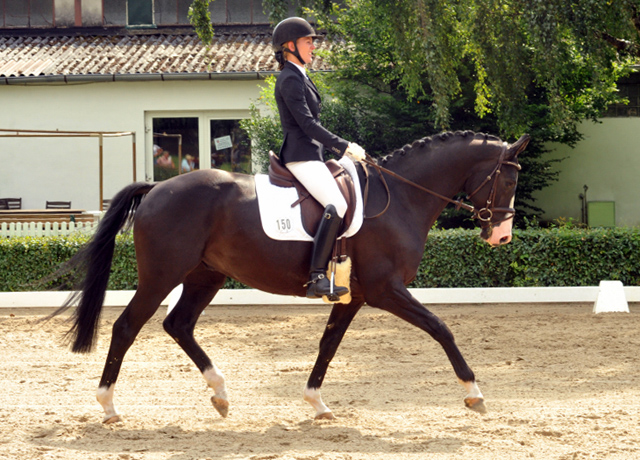 Gricault von Shavalou u.d. Gracia Patricia v. Alter Fritz u.d. Elitestute Gloriette v. Kostolany