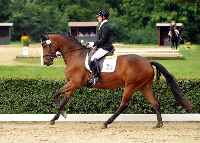 Sieger der Stutenleistungsprfung: Katniss Everdeen v. Saint Cyr - Gestt Schplitz - copyright Bernhard Langels, Trakehner Gestt Hmelschenburg