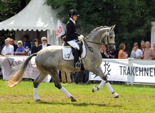 Reitpferdechampion - Perano von Hofrat - Herzzauber (4jhrig) - Foto Beate Langels