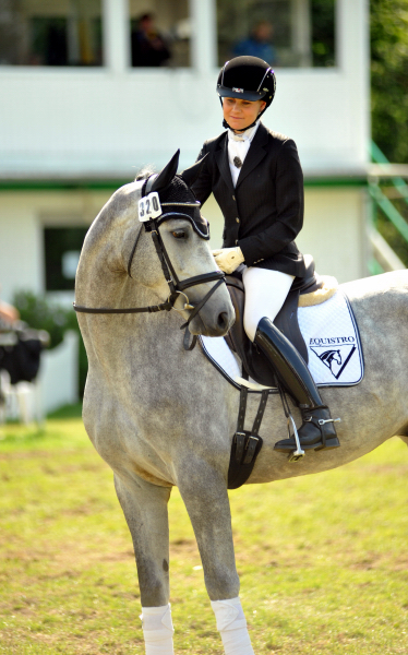 Reitpferdechampion - Perano von Hofrat - Herzzauber (4jhrig) - Foto Beate Langels