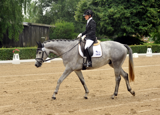 Reitpferdechampion - Perano von Hofrat - Herzzauber (4jhrig) - Foto Beate Langels