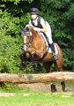 Impressionen vom internationalen Trakehner Bundesturnier in Hannover - Juli 2015 - Foto Beate Langels- Trakehner Gestt Hmelschenburg