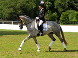 Impressionen vom internationalen Trakehner Bundesturnier in Hannover - Juli 2015 - Foto Beate Langels- Trakehner Gestt Hmelschenburg