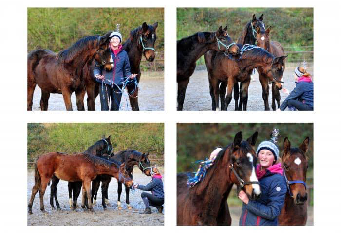 Die Jhrlingsstuten am 1. Januar 2020 in Hmelschenburg - Trakehner Gestt Hmelschenburg - Beate Langels