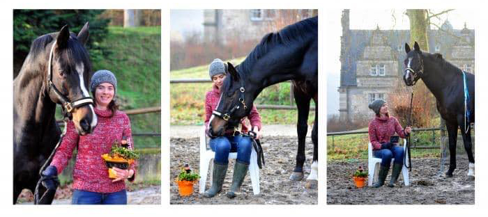 Saint Cyr und Pia am 1. Januar 2020 in Hmelschenburg - Trakehner Gestt Hmelschenburg - Beate Langels