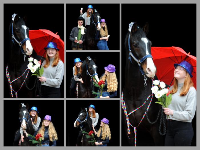 Happy New Year - Shavalou 1.1.2022 in Hmelschenburg  - Foto: Beate Langels - Trakehner Gestt Hmelschenburg