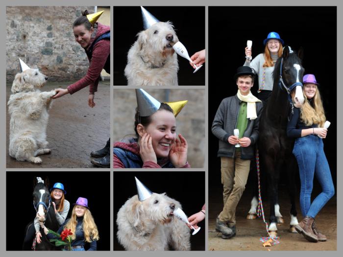 Happy New Year - 1.1.2022 in Hmelschenburg  - Foto: Beate Langels - Trakehner Gestt Hmelschenburg