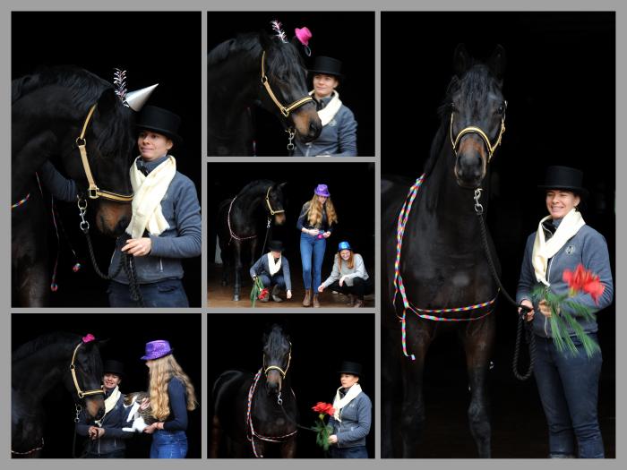 Happy New Year - Under Amour - 1.1.2022 in Hmelschenburg  - Foto: Beate Langels - Trakehner Gestt Hmelschenburg