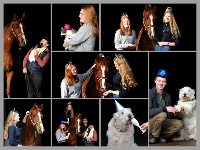 Happy New Year - Klassic Motion am 1.1.2022 in Hmelschenburg  - Foto: Beate Langels - Trakehner Gestt Hmelschenburg