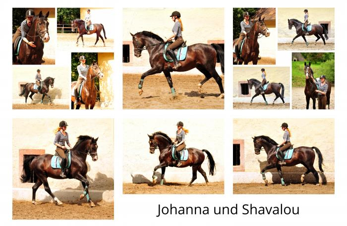 Shavalou und Johanna - Foto: Beate Langels - 
Trakehner Gestt Hmelschenburg
