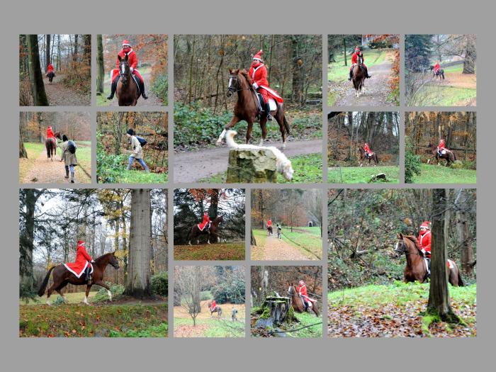 Nikolaus in Hmelschenburg - Fotos Beate Langels - Gestt Hmelschenburg