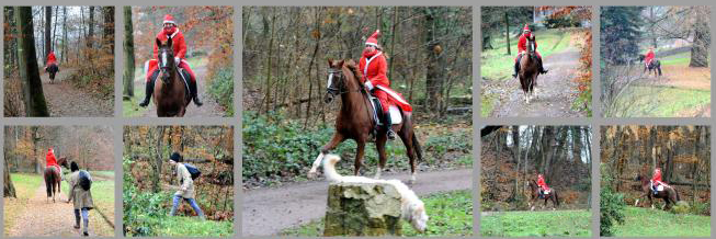 Impressionen vom Dezember 2022 - Trakehner Gestt Hmelschenburg  - Foto: Beate Langels