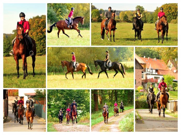 Ausritt im Oktober - Trakehner Gestt Hmelschenburg - Beate Langels