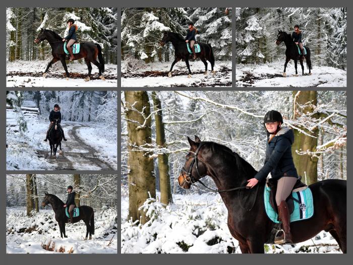 Schnee auf den Bergen rund um H melschenbug - Shavalou und Johanna haben ihn genossen - Foto: Beate Langels - 
Trakehner Gestt Hmelschenburg