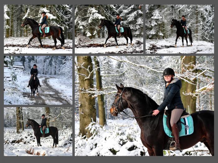 Schnee auf den Bergen rund um Hmelschenbug - Shavalou und Johanna haben ihn genossen - Foto: Beate Langels - 
Trakehner Gestt Hmelschenburg