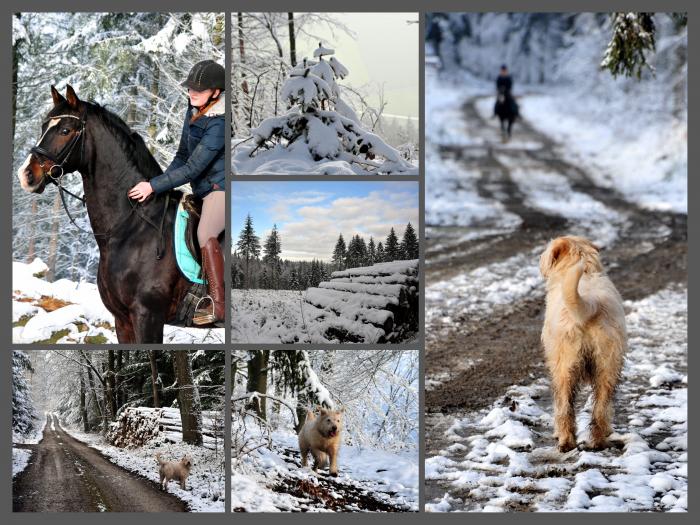 Schnee auf den Bergen rund um Hmelschenbug - Shavalou und Johanna haben ihn genossen - Foto: Beate Langels - 
Trakehner Gestt Hmelschenburg