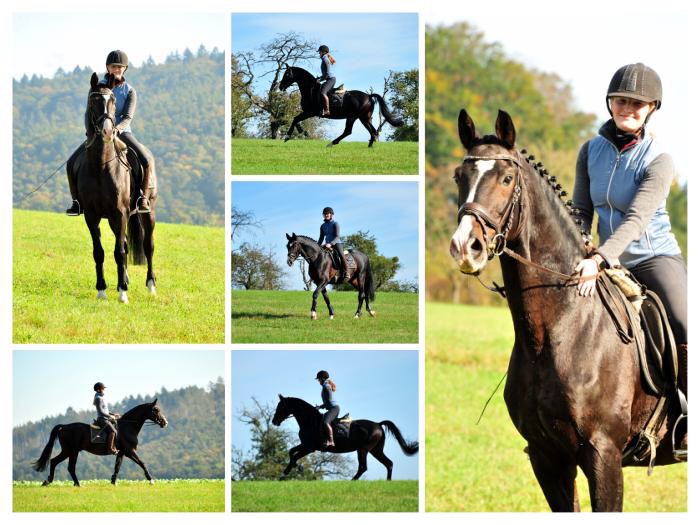 Shavalou und Johanna  - Foto: Beate Langels - Trakehner Gest t H melschenburg