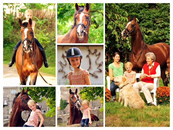   - Foto: Freudenfest v. Tolstoi - Foto: Beate Langels -
Trakehner Gestt Hmelschenburg