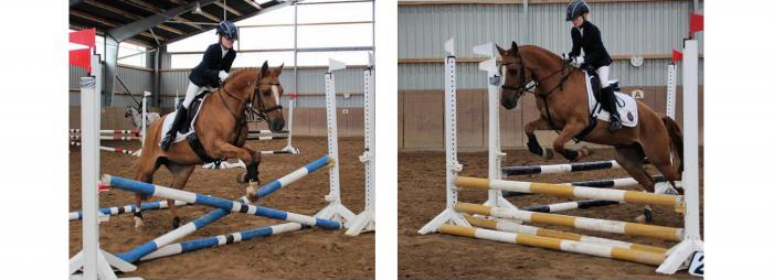 Greta und Donna Cara im Oktober - Trakehner Gestt Hmelschenburg - Beate Langels