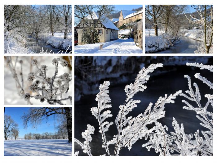 Das Emmerthal bei Hmelschenburg in klirrender Klte - 14. Februar 2021 - Foto: Beate Langels - 
Trakehner Gestt Hmelschenburg