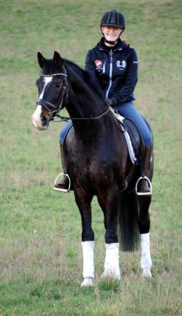 Shavalou - Februar 2023 - Trakehner Gestt Hmelschenburg  - Foto: Beate Langels