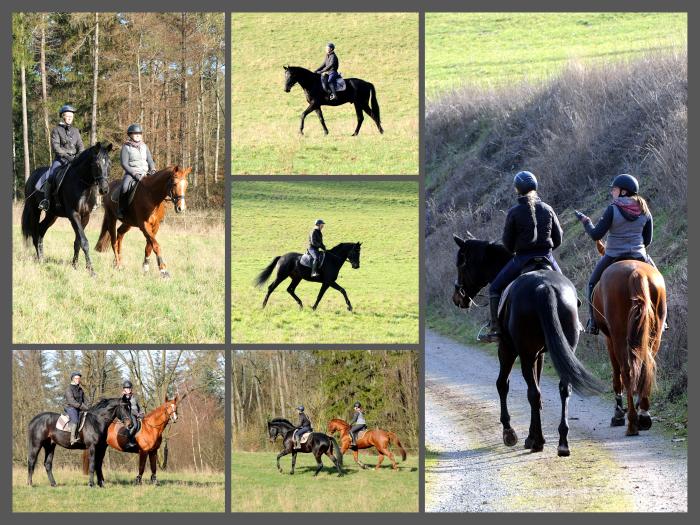 Highclere mit Jasmin und Glcksruf mit Georgia - Foto Beate Langels - Gestt Hmelschenburg