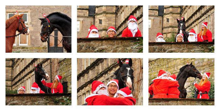 Die Weihnachts-Wichtel sind unterwegs - Trakehner Gestt Hmelschenburg - Beate Langels