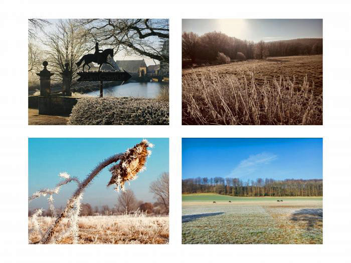  Trakehner Gestt Hmelschenburg - 18. Februar 2018 - Foto: Mia / Beate Langels