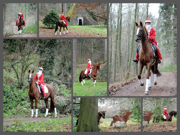 Weihnachten in Hmelschenburg 2021  - Foto: Beate Langels - Trakehner Gestt Hmelschenburg