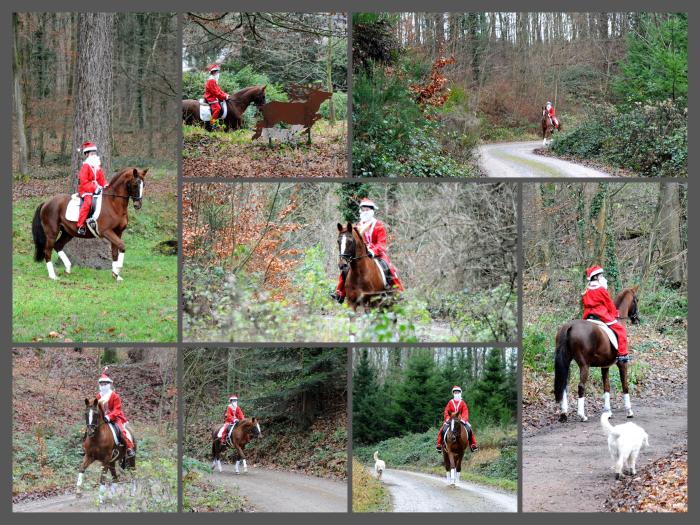 Weihnachten in Hmelschenburg 2021  - Foto: Beate Langels - Trakehner Gestt Hmelschenburg