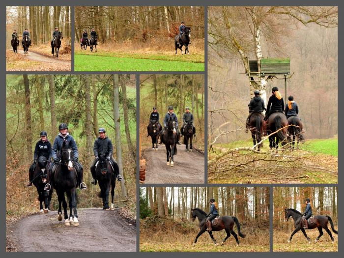 20. Mrz 2021 - Foto: Beate Langels - 
Trakehner Gestt Hmelschenburg