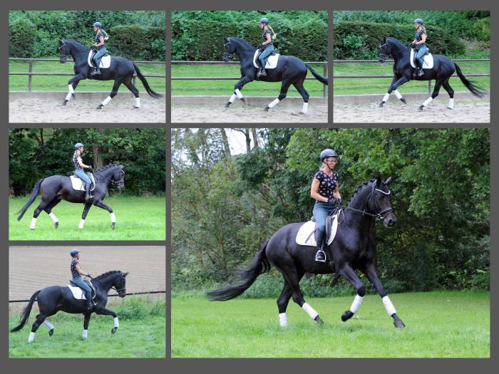 Under Amour v. Saint Cyr am 21.09.2023 - 
Foto: Beate Langels