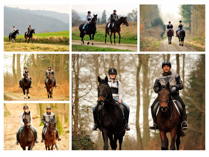 Ausritt mit Beloved und Kavango - Trakehner Gestt Hmelschenburg - Foto: Beate Langels