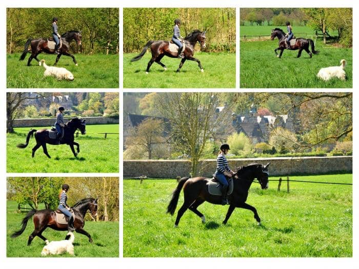 Shavalou und Johanna am 23. April 2020 in Hmelschenburg - Trakehner Gestt Hmelschenburg - Beate Langels