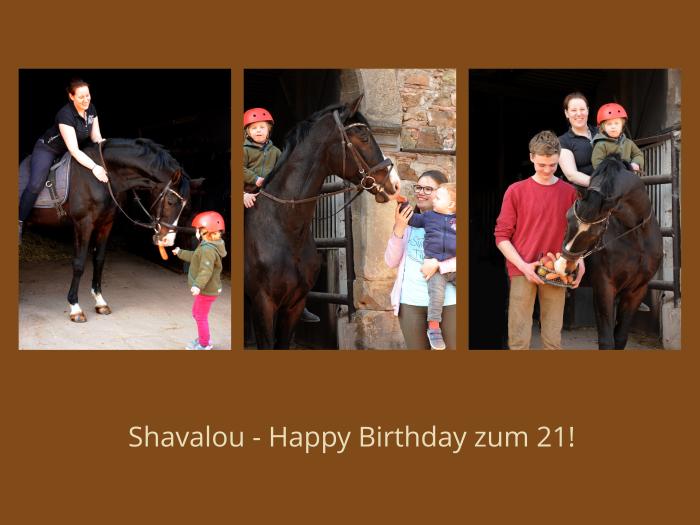 21. Geburtstag: Shavalou v. Freudenfest - Trakehner Gestt Hmelschenburg - 
Foto: Beate Langels