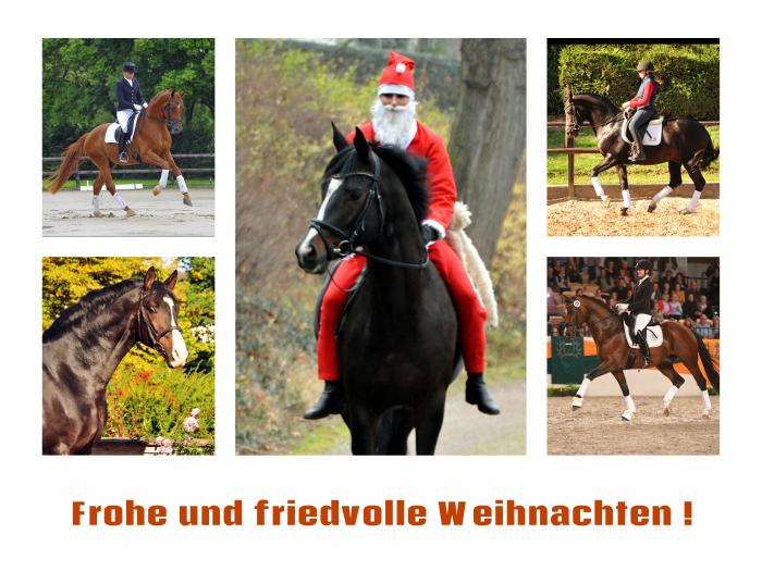 Frohe Weihnachten - Trakehner Gestt Hmelschenburg - Beate Langels