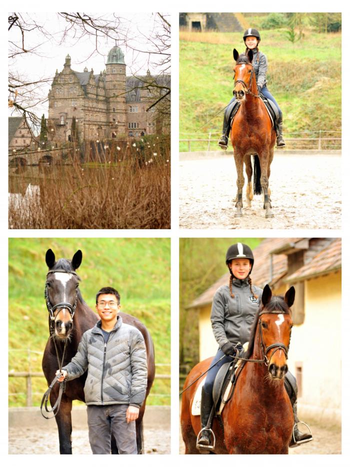  Trakehner Gestt Hmelschenburg - 26. Januar 2018 - Foto: Beate Langels