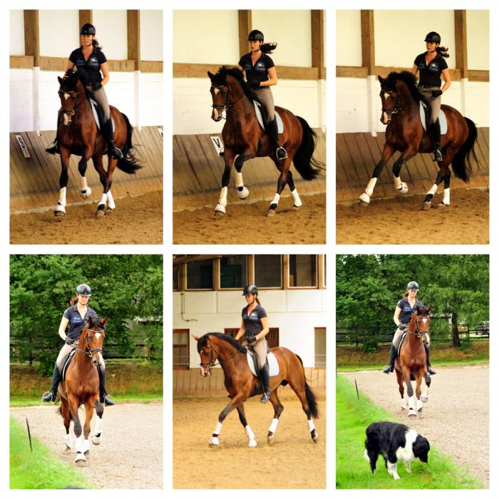 Kacyro und Karolin Mller - Foto: Beate Langels - Trakehner Gestt 
Hmelschenburg