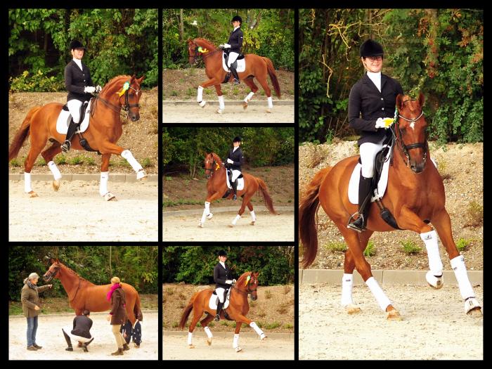 M-Sieg fr Zauberdeyk und Lune Karolin Mller - Trakehner Gestt Hmelschenburg - Beate Langels