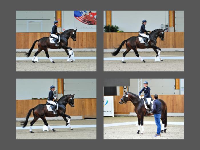Jasmin und der 3jhrige Gentle Motion 26./27. Oktober 2024 - Fotos Beate Langels