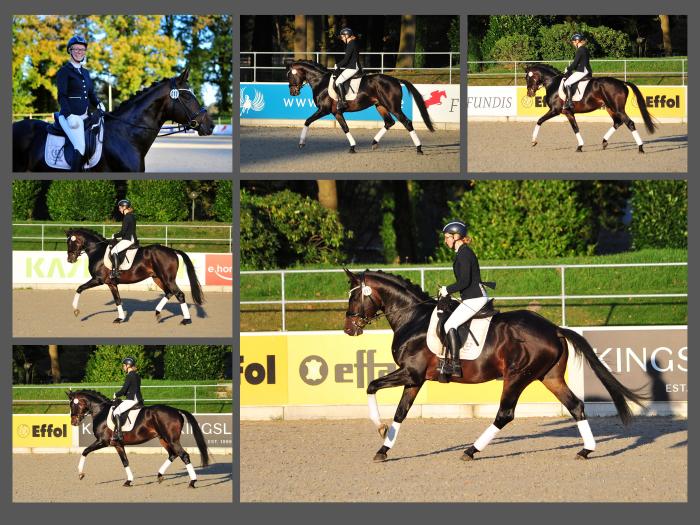 Jasmin und der 3jhrige Gentle Motion 26./27. Oktober 2024 - Fotos Beate Langels