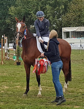 Pr.u.StPrSt. KLASSIC BLUE v. Singolo - Zchter: Beate Langels - Trakehner Gestt Hmelschenburg
