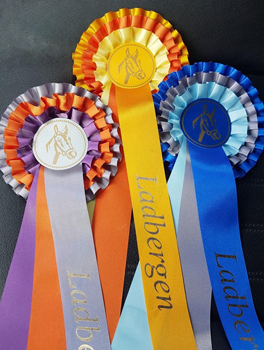 Pr.u.StPrSt. KLASSIC BLUE v. Singolo - Zchter: Beate Langels - Trakehner Gestt Hmelschenburg