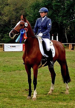 Pr.u.StPrSt. KLASSIC BLUE v. Singolo - Zchter: Beate Langels - Trakehner Gestt Hmelschenburg