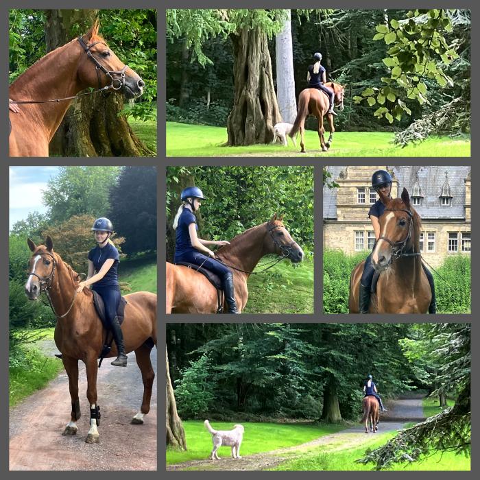 Trakehner Hengst Glcksruf und die 15jhrig Grta im August 2024 - Foto: Beate Langels - Trakehner Gestt Hmelschenburg
