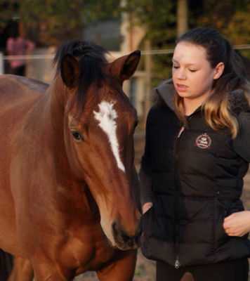 Killarney by Saint Cyr out of Karena by Freudenfest - Foto: Ellen Habert